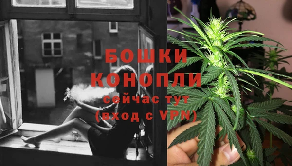экстази Богданович